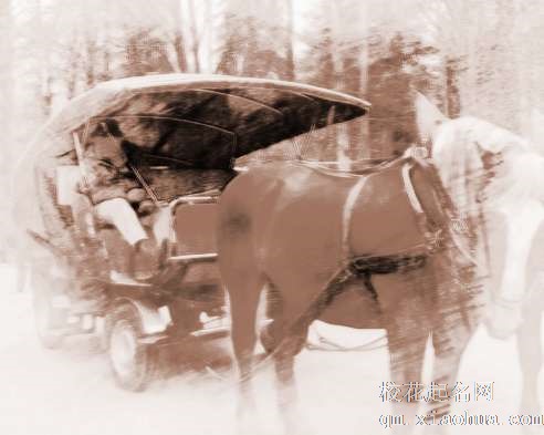 梦见坐马车上　周公解梦之梦到坐马车上