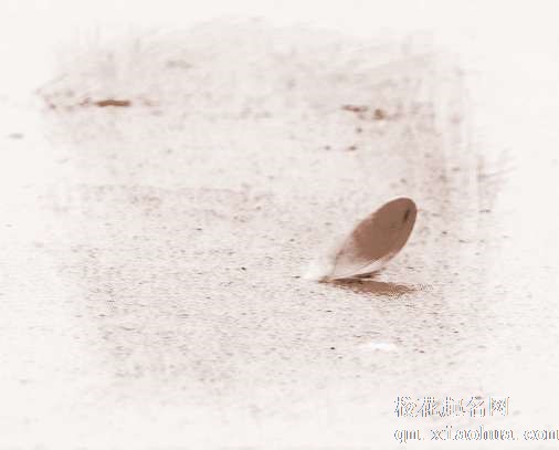 梦见没有毛鸟　周公解梦之梦到没有毛鸟