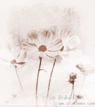 梦见捡起花瓣　周公解梦之梦到捡起花瓣