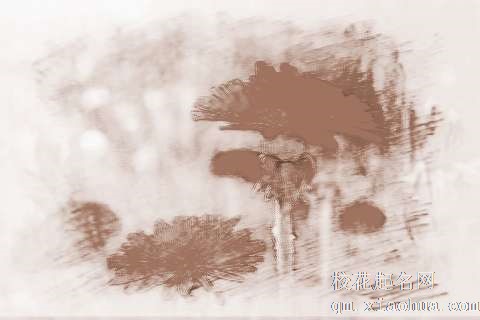 梦见黄花朵　周公解梦之梦到黄花朵