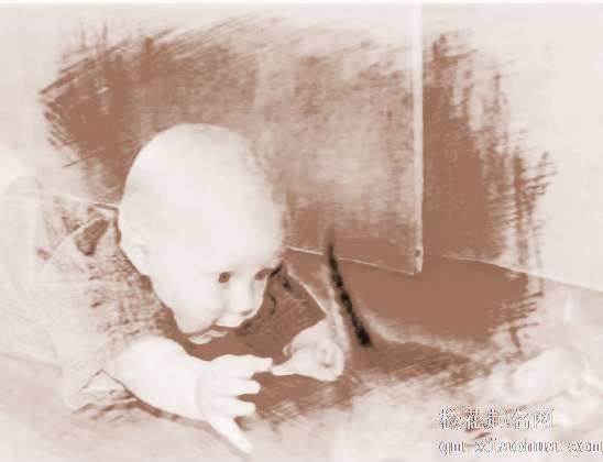 梦见猫追人　周公解梦之梦到猫追人