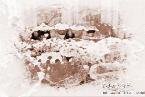 梦见好多花束　周公解梦之梦到好多花束