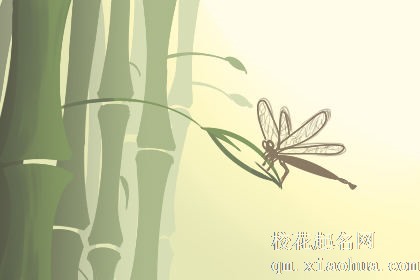 梦见搬竹笋子是什么意思