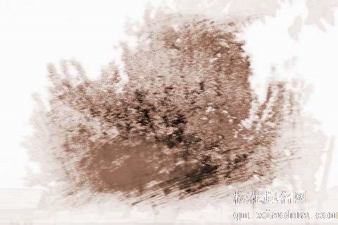 梦见树在长高　周公解梦之梦到树在长高