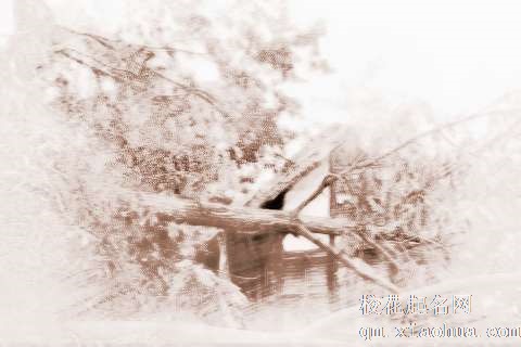 梦见树被折断　周公解梦之梦到树被折断