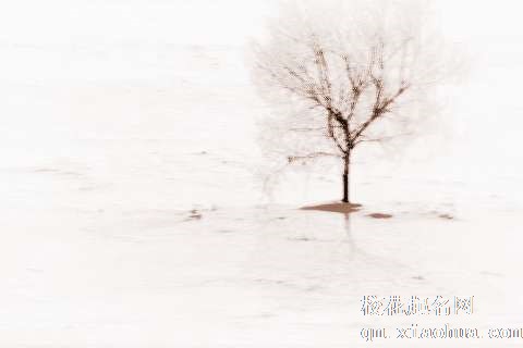 梦见下起白雪　周公解梦之梦到下起白雪