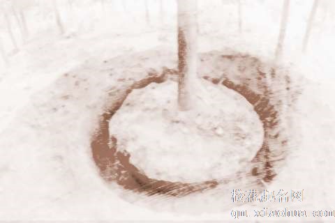 梦见挖大树　周公解梦之梦到挖大树