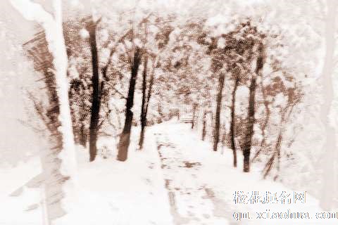 梦见山中有雪　周公解梦之梦到山中有雪