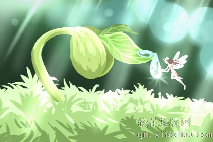 梦见地里长着幼苗有什么征兆