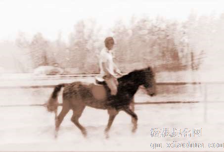 梦见马在跑步　周公解梦之梦到马在跑步