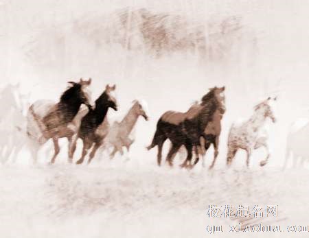 梦见被马追逐　周公解梦之梦到被马追逐