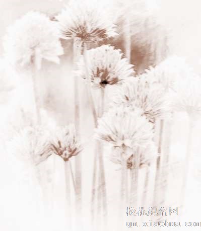 梦见摘花根　周公解梦之梦到摘花根