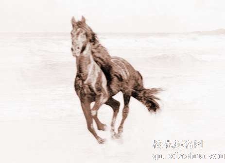 梦见寻找马　周公解梦之梦到寻找马