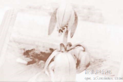 梦见花朵蔫了　周公解梦之梦到花朵蔫了