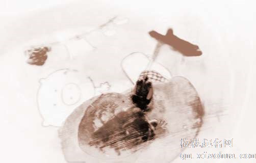 梦见龟和鱼　周公解梦之梦到龟和鱼