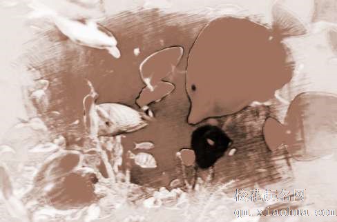 梦见鱼咬自己　周公解梦之梦到鱼咬自己