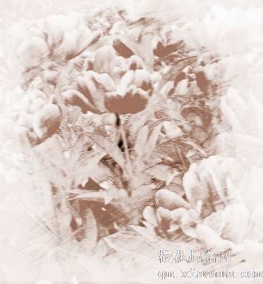 梦见飘起花朵　周公解梦之梦到飘起花朵