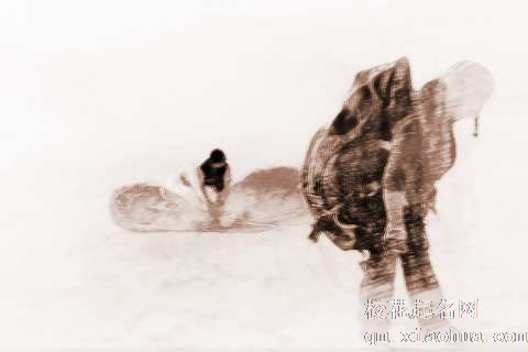 梦见起大风　周公解梦之梦到起大风