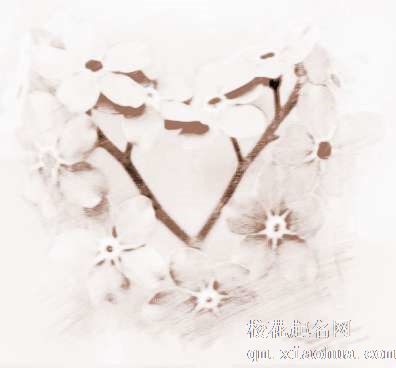 梦见花朵好吗　周公解梦之梦到花朵好吗