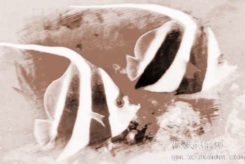 梦见彩色鱼　周公解梦之梦到彩色鱼