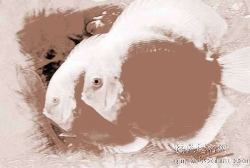 梦见捕到鱼　周公解梦之梦到捕到鱼