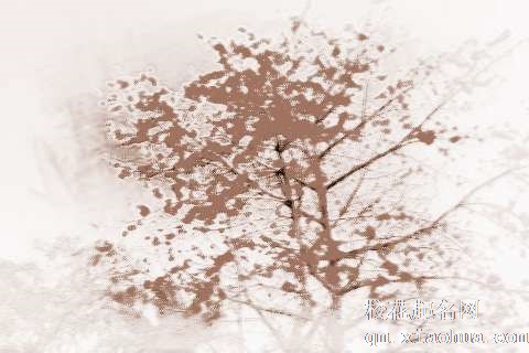 梦见天上有花　周公解梦之梦到天上有花