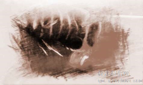 梦见黑色鱼　周公解梦之梦到黑色鱼