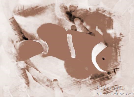 梦见白色大鱼　周公解梦之梦到白色大鱼