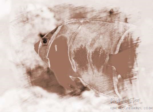 梦见抓大鱼　周公解梦之梦到抓大鱼