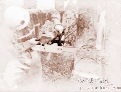 梦见刨起大树　周公解梦之梦到刨起大树