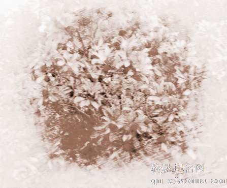 梦见小杨梅树　周公解梦之梦到小杨梅树