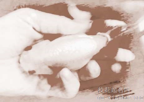 梦见手抓鱼　周公解梦之梦到手抓鱼