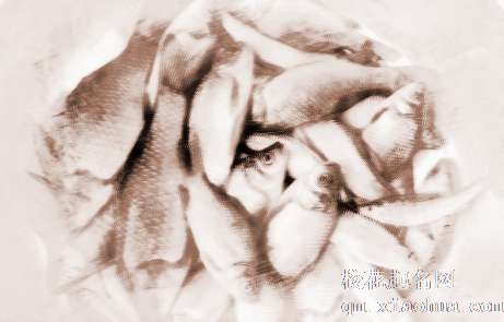 梦见去抓鱼　周公解梦之梦到去抓鱼