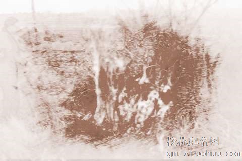 梦见火烧着草　周公解梦之梦到火烧着草