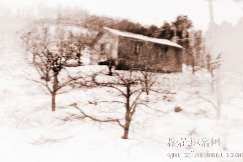 梦见下雪征兆　周公解梦之梦到下雪征兆