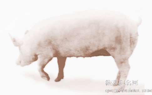 梦见蛇和猪　周公解梦之梦到蛇和猪