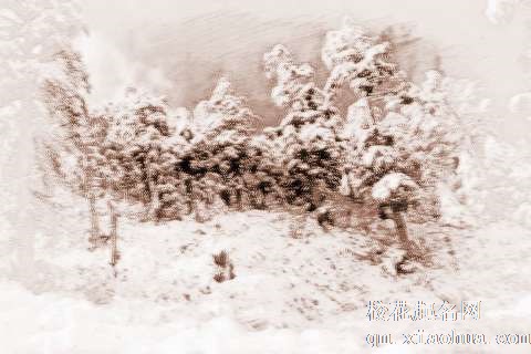 梦见下雪预兆　周公解梦之梦到下雪预兆