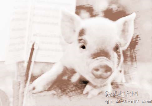 梦见猪和羊　周公解梦之梦到猪和羊