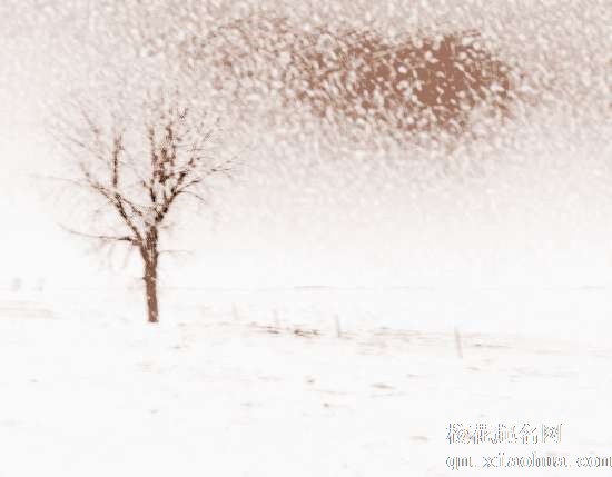 梦见雨雷交加　周公解梦之梦到雨雷交加