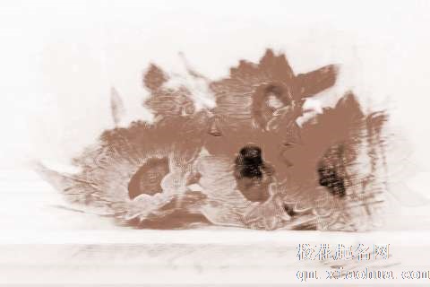 梦见黄花瓣　周公解梦之梦到黄花瓣