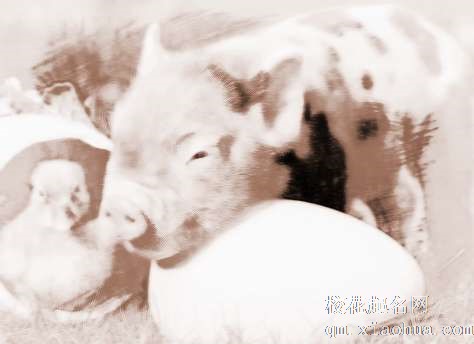 梦见蛇吃猪　周公解梦之梦到蛇吃猪