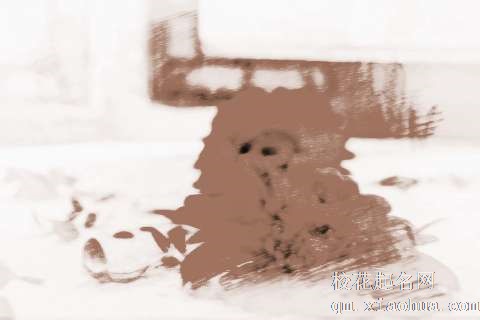 梦见红花瓣　周公解梦之梦到红花瓣