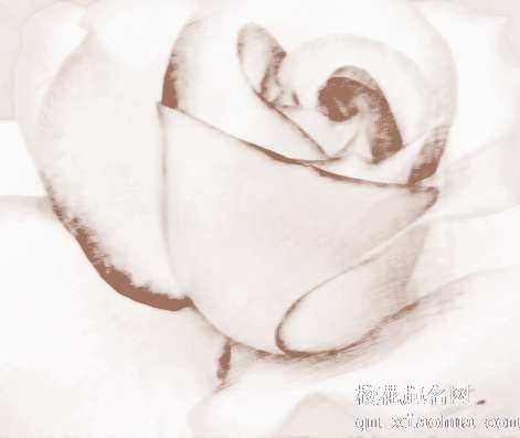 梦见收起花束　周公解梦之梦到收起花束