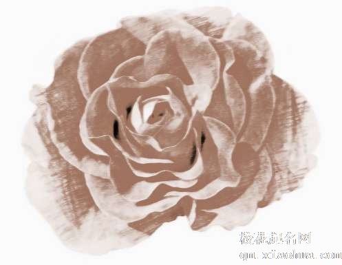 梦见捡到花瓣　周公解梦之梦到捡到花瓣