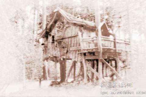 梦见树屋　周公解梦之梦到树屋