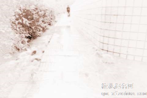 梦见地面冒水　周公解梦之梦到地面冒水