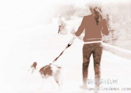 梦见狗被打死　周公解梦之梦到狗被打死