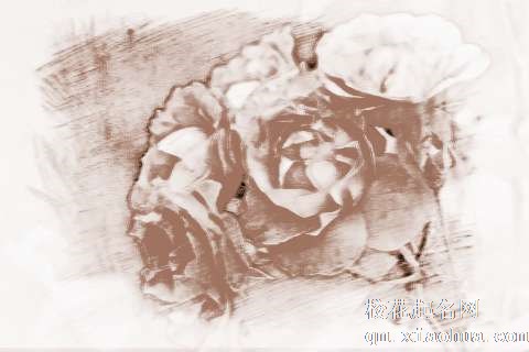 梦见红色花　周公解梦之梦到红色花