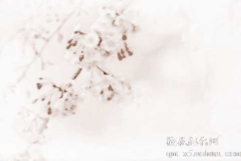 梦见粉色花　周公解梦之梦到粉色花