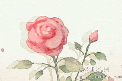 梦见有人送花有什么征兆